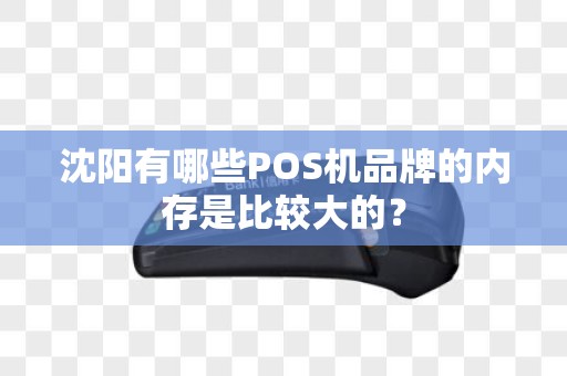 沈阳有哪些POS机品牌的内存是比较大的？