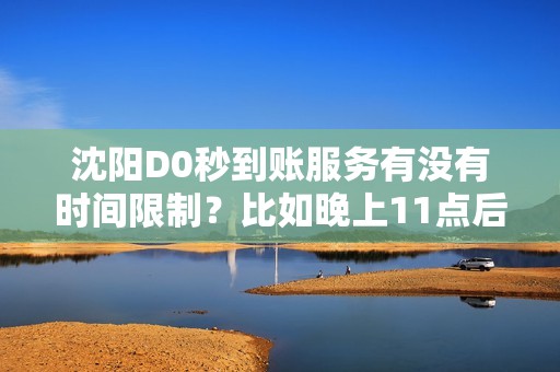 沈阳D0秒到账服务有没有时间限制？比如晚上11点后刷还秒到吗？