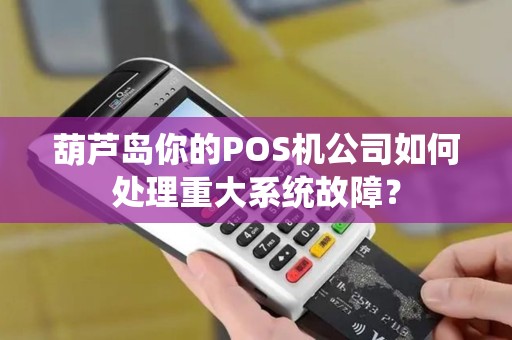 葫芦岛你的POS机公司如何处理重大系统故障？