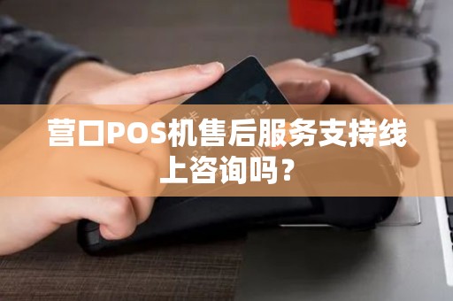 营口POS机售后服务支持线上咨询吗？