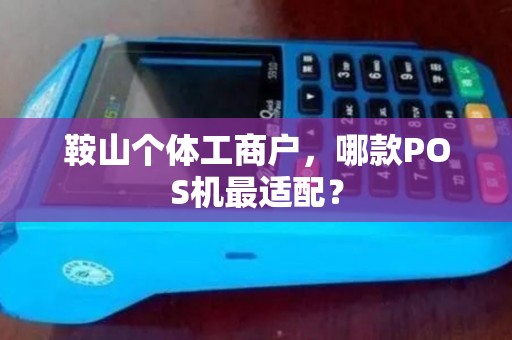 鞍山个体工商户，哪款POS机最适配？