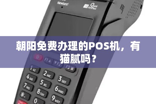 朝阳免费办理的POS机，有猫腻吗？
