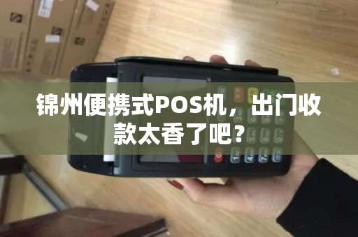 锦州便携式POS机，出门收款太香了吧？