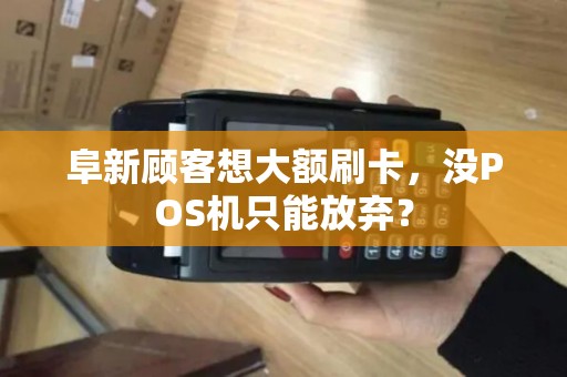 阜新顾客想大额刷卡，没POS机只能放弃？