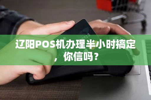 辽阳POS机办理半小时搞定,你信吗? 辽阳POS机办理半小时搞定,你信吗?