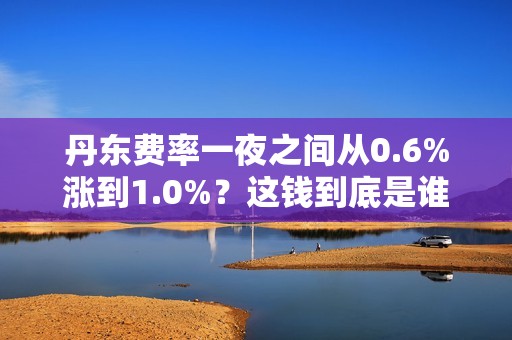丹东费率一夜之间从0.6%涨到1.0%？这钱到底是谁在收？