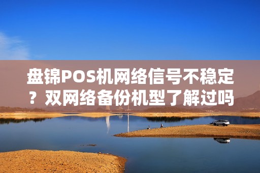 盘锦POS机网络信号不稳定？双网络备份机型了解过吗？