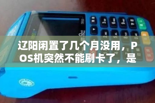 辽阳闲置了几个月没用,POS机突然不能刷卡了,是被休眠了吗? 辽阳闲置了几个月没用,POS机突然不能刷卡了,是被休眠了吗?