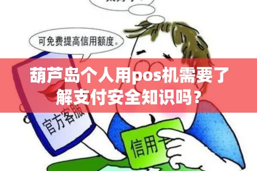 葫芦岛个人用pos机需要了解支付安全知识吗？
