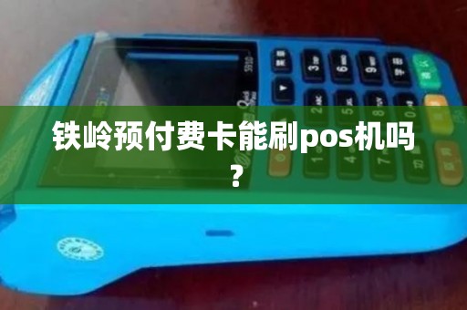 铁岭预付费卡能刷pos机吗？
