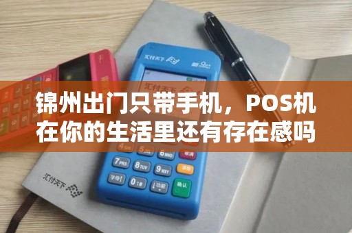 锦州出门只带手机,POS机在你的生活里还有存在感吗? 锦州出门只带手机,POS机在你的生活里还有存在感吗?