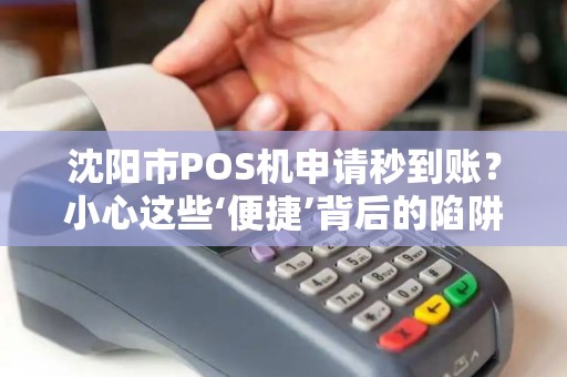 沈阳市POS机申请秒到账？小心这些‘便捷’背后的陷阱！