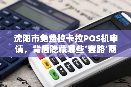 沈阳市免费拉卡拉POS机申请，背后隐藏哪些‘套路’商家必看避坑指南！