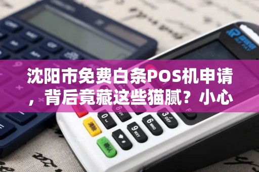 沈阳市免费白条POS机申请，背后竟藏这些猫腻？小心被坑！