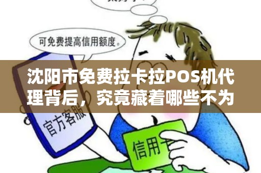 沈阳市免费拉卡拉POS机代理背后，究竟藏着哪些不为人知的秘密？
