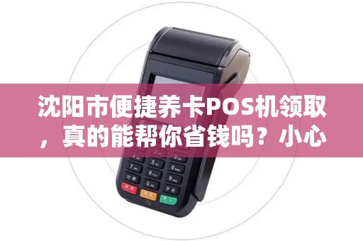 沈阳市便捷养卡POS机领取，真的能帮你省钱吗？小心这些隐藏风险！