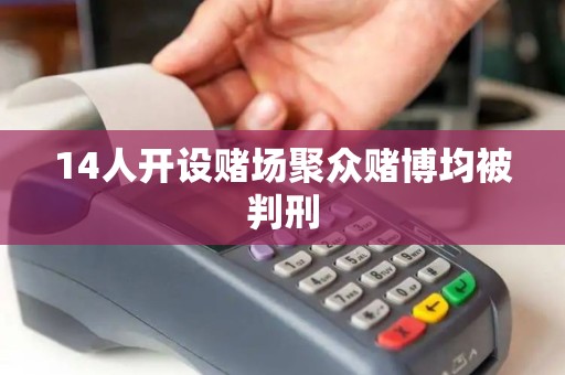 14人开设赌场聚众赌博均被判刑