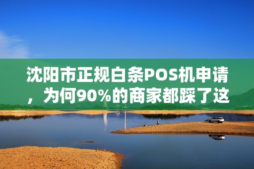 沈阳市正规白条POS机申请，为何90%的商家都踩了这3个坑？