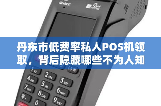 丹东市低费率私人POS机领取，背后隐藏哪些不为人知的陷阱？