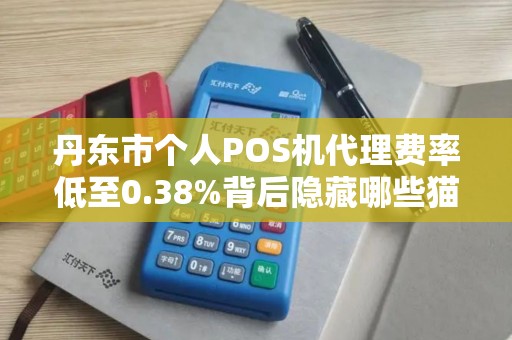 丹东市个人POS机代理费率低至0.38%背后隐藏哪些猫腻？