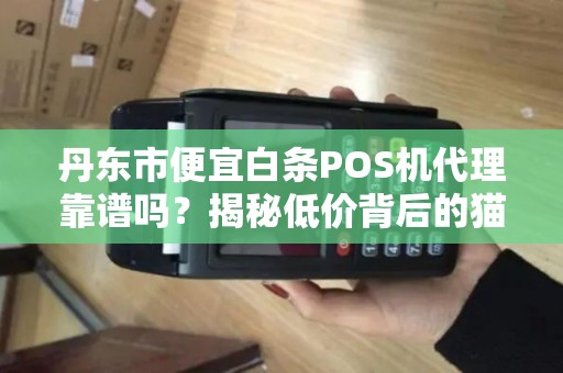 丹东市便宜白条POS机代理靠谱吗？揭秘低价背后的猫腻！