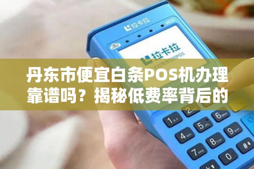 丹东市便宜白条POS机办理靠谱吗？揭秘低费率背后的陷阱！