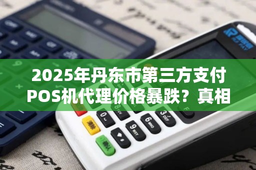 2025年丹东市第三方支付POS机代理价格暴跌？真相让人震惊！