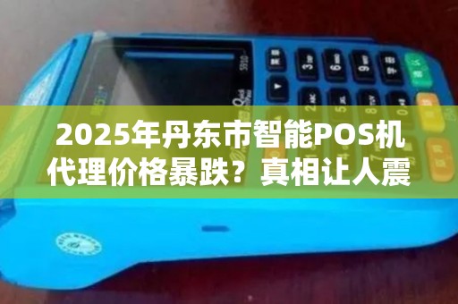 2025年丹东市智能POS机代理价格暴跌？真相让人震惊！