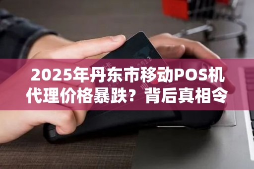2025年丹东市移动POS机代理价格暴跌？背后真相令人震惊！