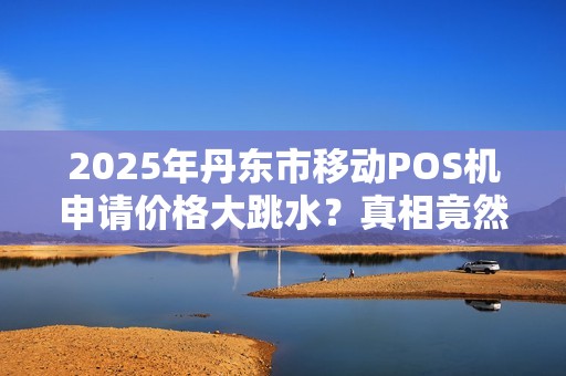 2025年丹东市移动POS机申请价格大跳水？真相竟然是这样！