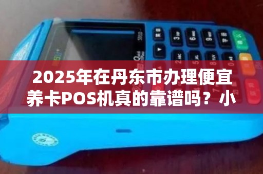 2025年在丹东市办理便宜养卡POS机真的靠谱吗？小心这些隐藏风险！