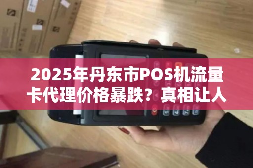 2025年丹东市POS机流量卡代理价格暴跌？真相让人意外！