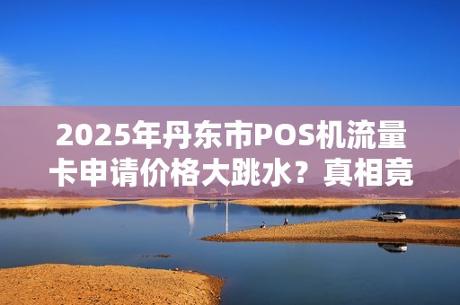 2025年丹东市POS机流量卡申请价格大跳水？真相竟是…