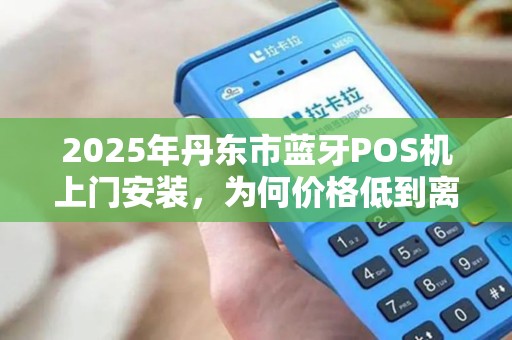 2025年丹东市蓝牙POS机上门安装，为何价格低到离谱？小心这些隐藏陷阱！