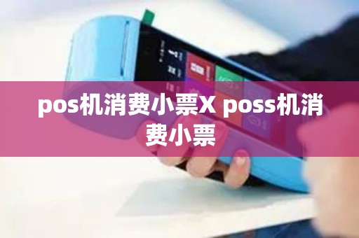 pos机消费小票X poss机消费小票
