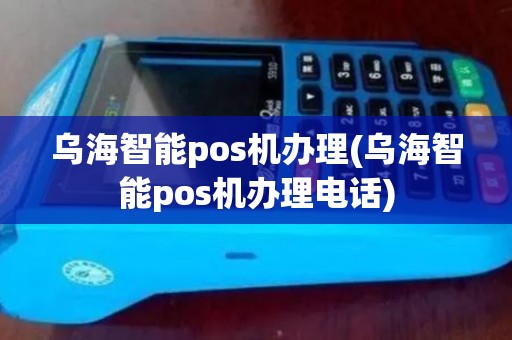 乌海智能pos机办理(乌海智能pos机办理电话)