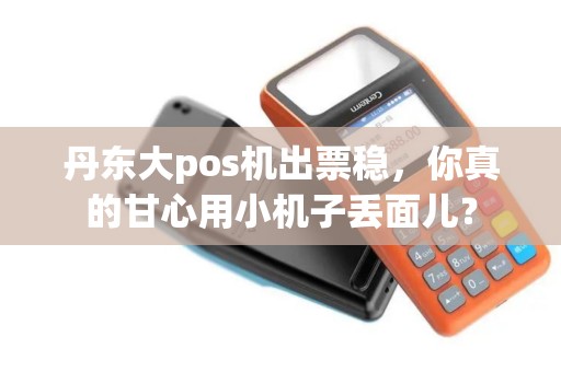 丹东大pos机出票稳，你真的甘心用小机子丢面儿？