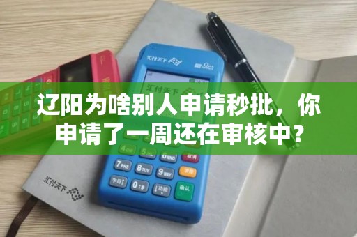 辽阳为啥别人申请秒批，你申请了一周还在审核中？