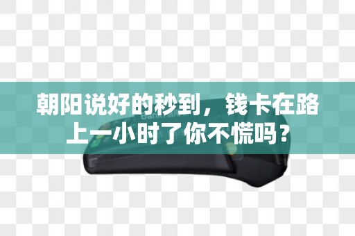 朝阳说好的秒到，钱卡在路上一小时了你不慌吗？