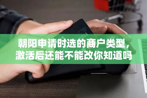 朝阳申请时选的商户类型，激活后还能不能改你知道吗？