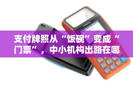 支付牌照从“饭碗”变成“门票”,中小机构出路在哪? 支付牌照从“饭碗”变成“门票”,中小机构出路在哪?