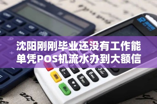 沈阳刚刚毕业还没有工作能单凭POS机流水办到大额信用卡吗? 沈阳刚刚毕业还没有工作能单凭POS机流水办到大额信用卡吗?