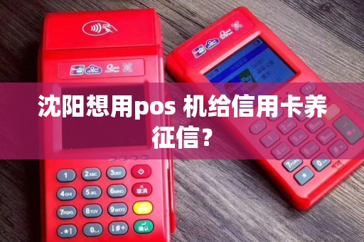 沈阳想用pos 机给信用卡养征信? 沈阳想用pos 机给信用卡养征信?