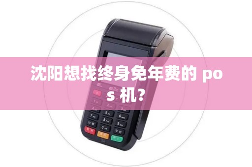 沈阳想找终身免年费的 pos 机？