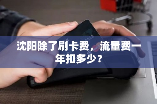 沈阳除了刷卡费,流量费一年扣多少? 沈阳除了刷卡费,流量费一年扣多少?