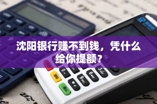 沈阳银行赚不到钱，凭什么给你提额？