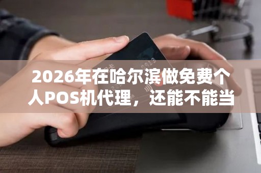 2026年在哈尔滨做免费个人POS机代理,还能不能当成一份副业来干? 2026年在哈尔滨做免费个人POS机代理,还能不能当成一份副业来干?