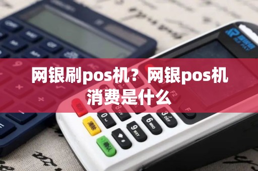 网银刷pos机？网银pos机消费是什么