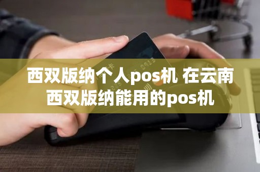 西双版纳个人pos机 在云南西双版纳能用的pos机