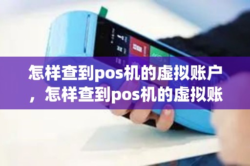 怎样查到pos机的虚拟账户，怎样查到pos机的虚拟账户密码